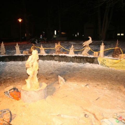 IMG 0854