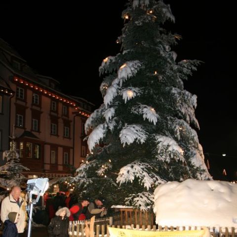 IMG 0915