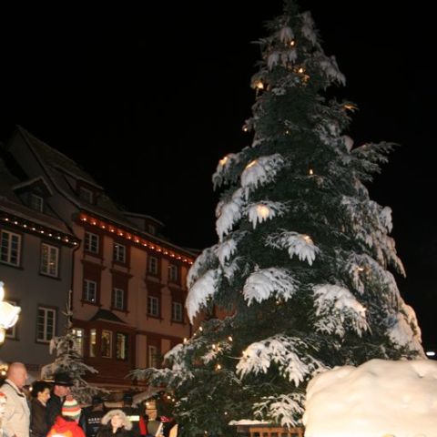 IMG 0916