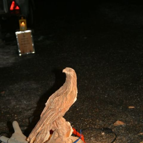 IMG 0917