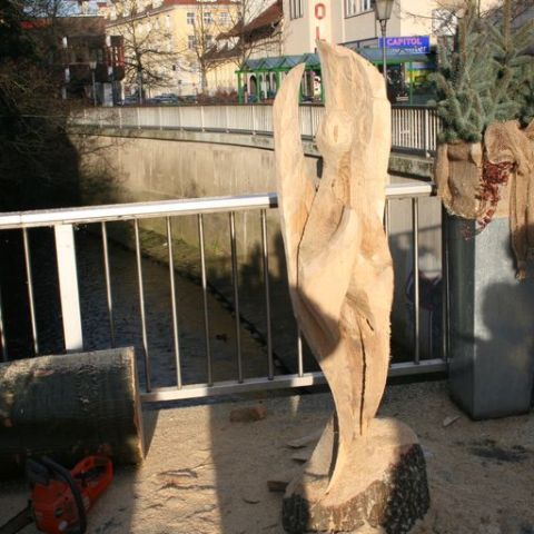 IMG 0929