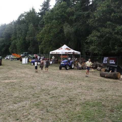 MG 3382