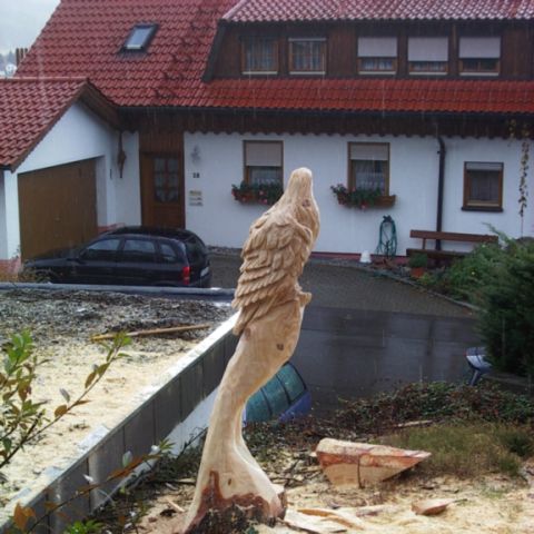 Adler - 005