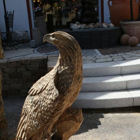 IMG 8406