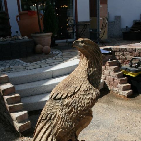 IMG 8407
