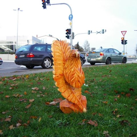 Adler Feder - 03