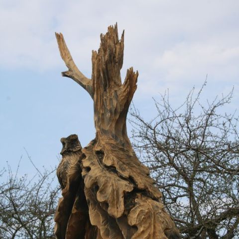 IMG 0984
