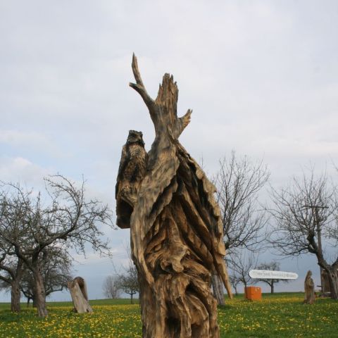 IMG 0987