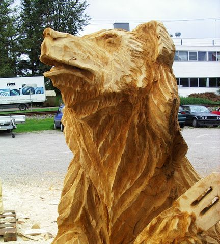 Baer mit Gitarre004