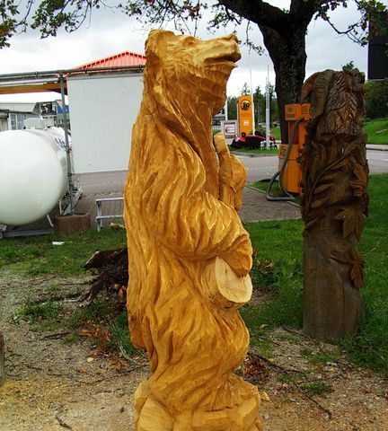 Baer mit Gitarre005