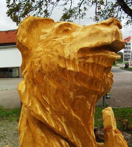 Baer mit Gitarre006