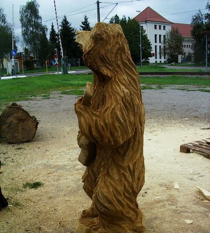 Baer mit Gitarre007