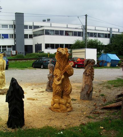 Baer mit Gitarre008