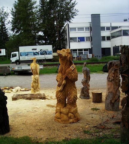 Baer mit Gitarre009