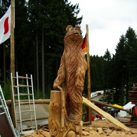 huskycup077