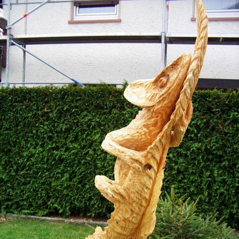 Chameleon - 09