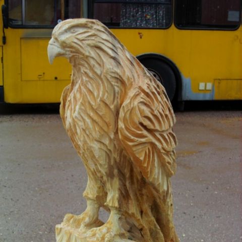 Sokol - 005