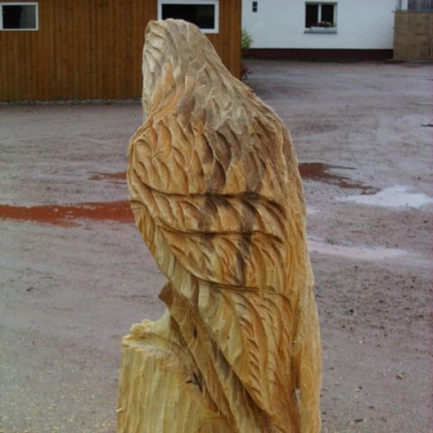 Sokol - 006