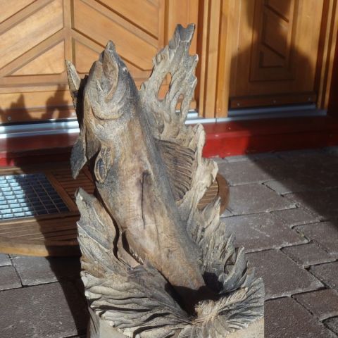 DSC03486