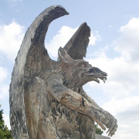 mg 6662