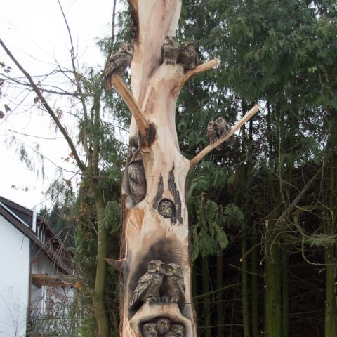 grossereulenbaum0958