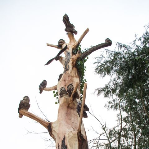grossereulenbaum0961