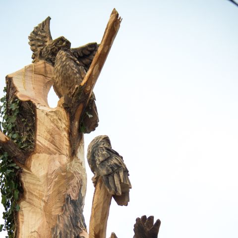 grossereulenbaum0962