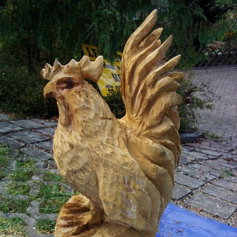 Neuer Huhn - 01