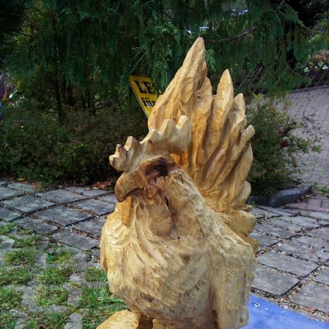 Neuer Huhn - 02