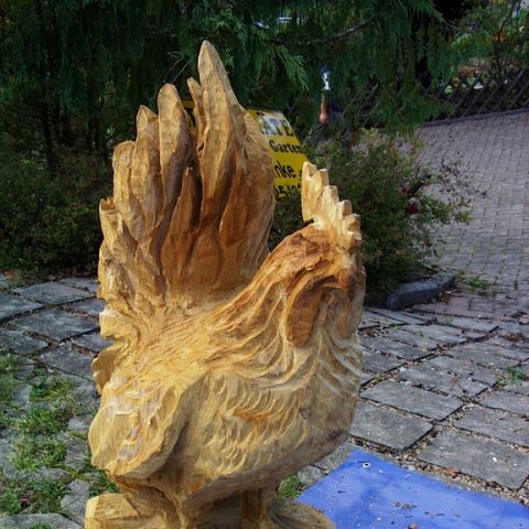 Neuer Huhn - 03