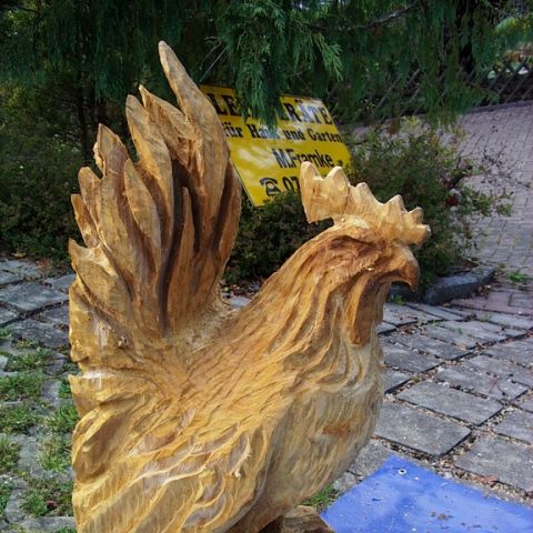 Neuer Huhn - 04