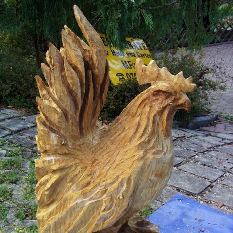 Neuer Huhn - 05