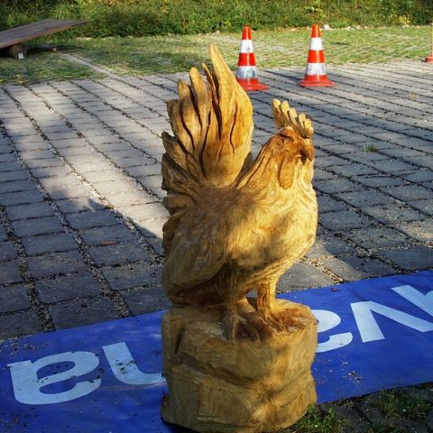 Neuer Huhn - 11