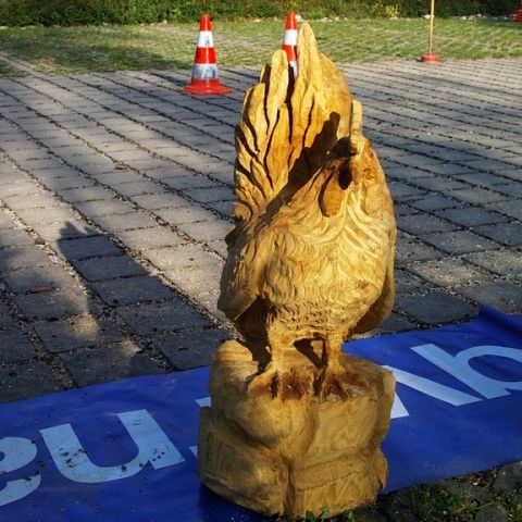 Neuer Huhn - 12