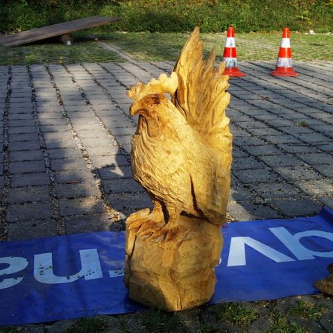 Neuer Huhn - 13