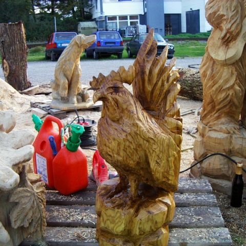 Neuer Huhn - 16