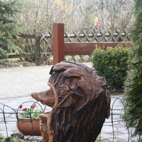 Igel - 11
