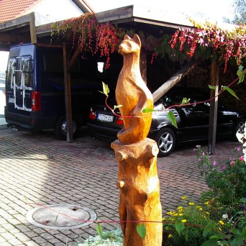 Katze 3 - 03