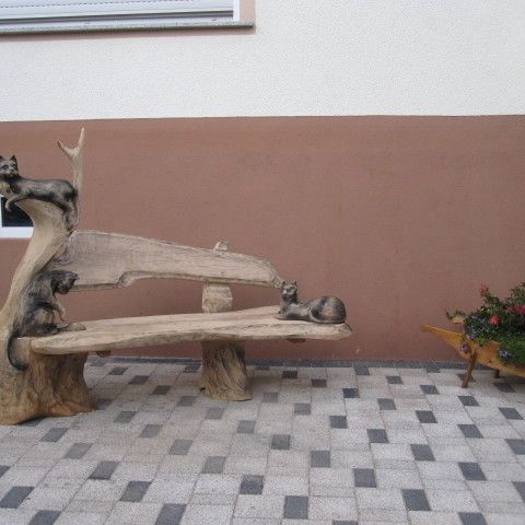 IMG 4577