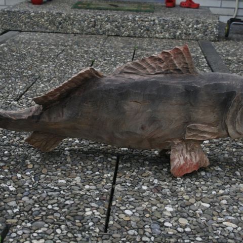 lachs - 005