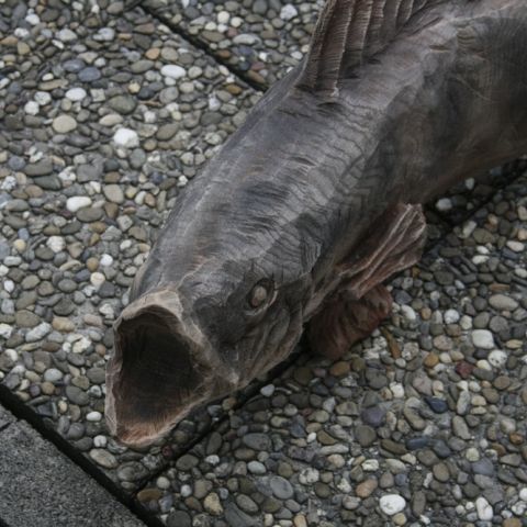 lachs - 007