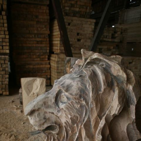 IMG 4354  2