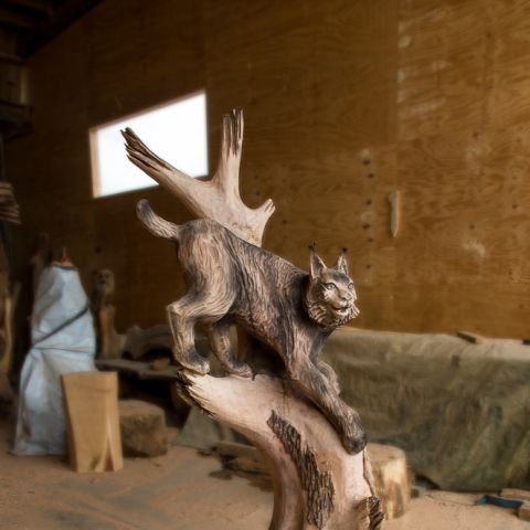 Luchs 02