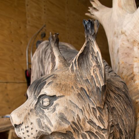 Luchs 03