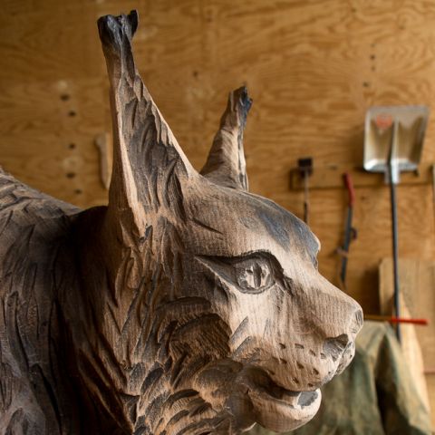 Luchs 04