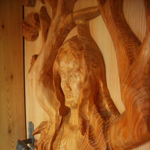 Waldgeist in - 06