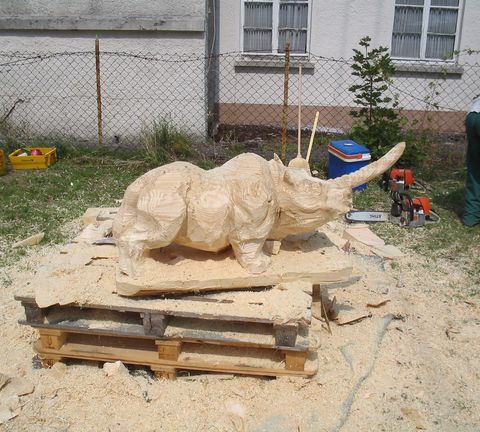 Nashorn003