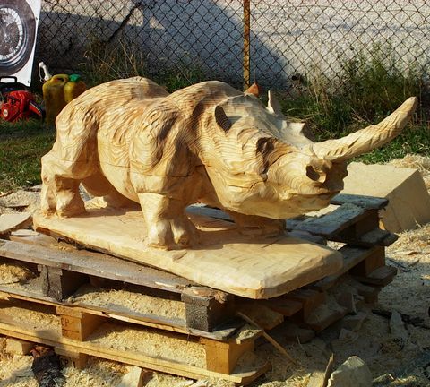 Nashorn008