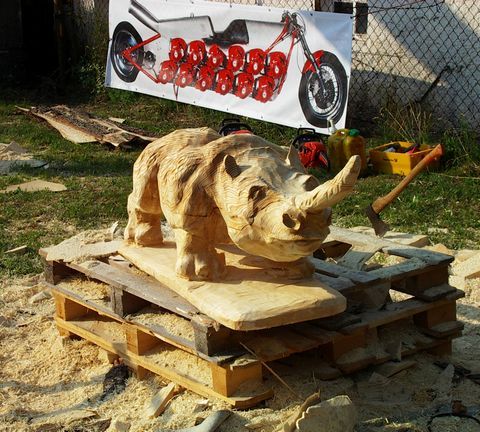 Nashorn010
