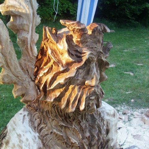 festival der natur - 12